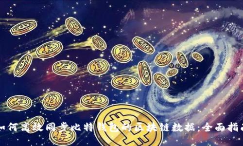 如何高效同步比特钱包的区块链数据：全面指南